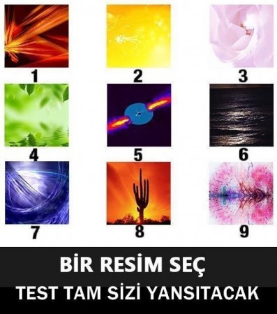 Dünyanın En Kısa Kişilik Testi