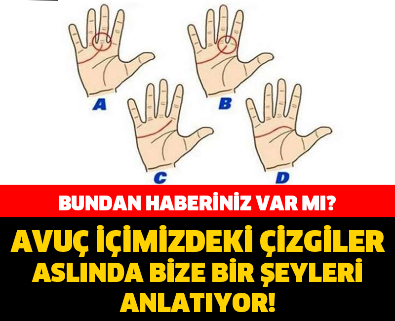 BİLİYOR MUYDUNUZ? AVUÇ İÇİMİZDEKİ ÇİZGİLER BAKIN BİZE NEYİ ANLATIYOR...