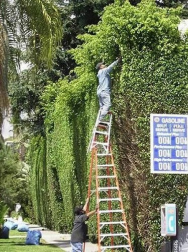 1 saniye sonrasını merak edeceğiniz 50 fotoğraf..!