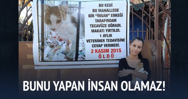 TÜRKİYE BU GÖRÜNTÜLERİ KONUŞUYOR! KEDİYE TECAVÜZ KAMERALARA BÖYLE YANSIDI!