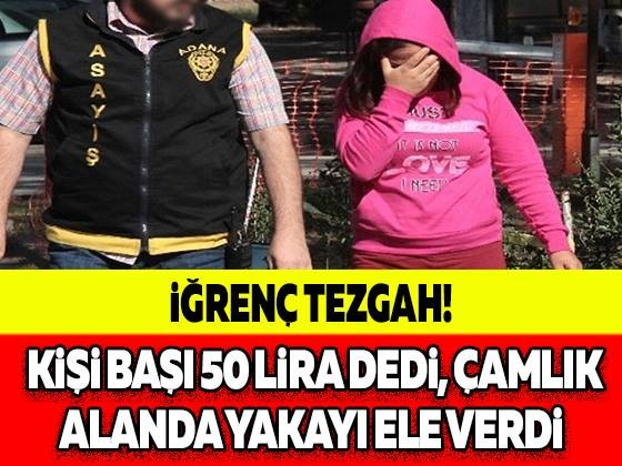 İĞRENÇ TEZGAH! KİŞİ BAŞI 50 LİRA DEDİ, ÇAMLIK ALANDA YAKAYI ELE VERDİ!