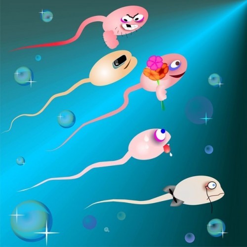 SPERM SAYINIZDA SIKINTI MI VAR? BUNLARI YERSENİZ KISIRLIKTAN BİLE KORUNUYORSUNUZ! İŞTE HAYATINIZI KURTARAN O YİYECEKLER!