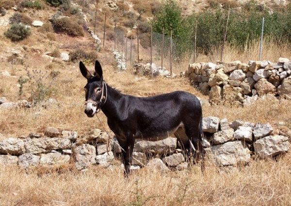 Dünyanın En İlginç Cinsel Yasakları! Duyunca Çok Şaşıracaksınız..