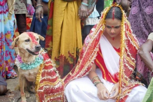 18 Yaşındaki Kızı Köpekle Evlendirdiler! Sebebine Çok Şaşıracaksınız..