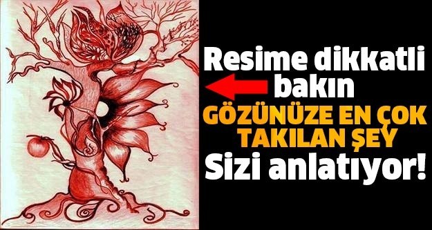 RESİME DİKATLİ BAKIN! GÖZÜNÜZE ENÇOK TAKILAN ŞEY SİZİ ANLATIYOR!