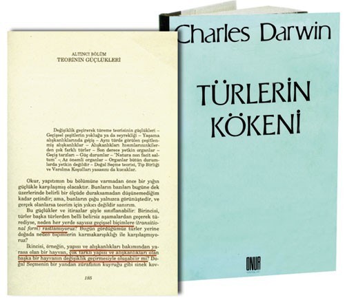 23 Sayısı ve Kuran-ı Kerim'deki Yeri