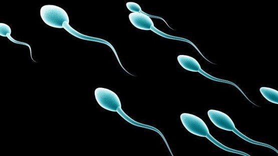 İNANILMAZ BULUŞ! SPERM BAKIN NEYE İYİ GELİYORMUŞ... ÇOK ŞAŞIRACAKSINIZ!