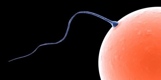 İNANILMAZ BULUŞ! SPERM BAKIN NEYE İYİ GELİYORMUŞ... ÇOK ŞAŞIRACAKSINIZ!