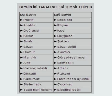 BEYNİNİZİN HANGİ YÖNÜNÜ KULLANIYORSUNUZ? TEST EDİN...