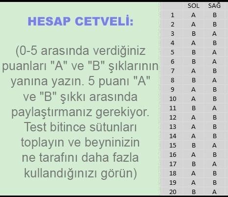 BEYNİNİZİN HANGİ YÖNÜNÜ KULLANIYORSUNUZ? TEST EDİN...