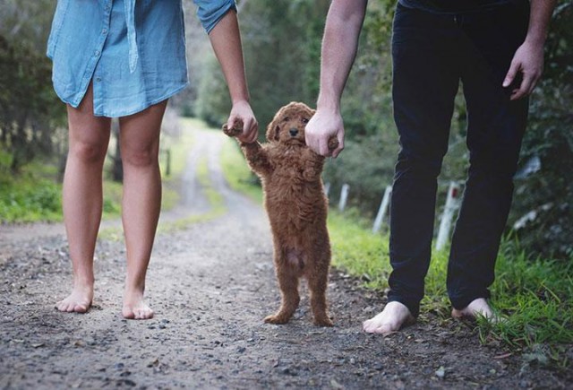 Bebek yerine köpekle poz veren aile !