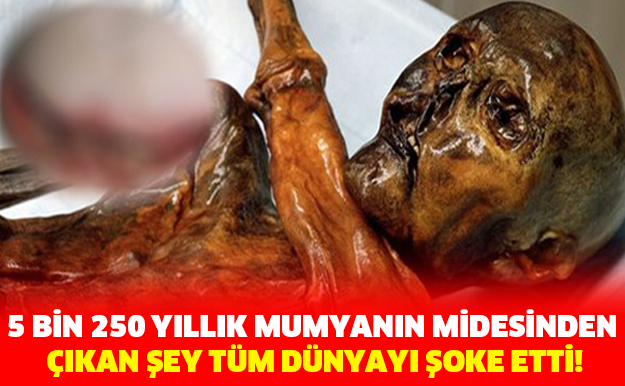 5 BİN 250 YILLIK MUMYANIN MİDESİNDEN ÇIKAN ŞEY TÜM DÜNYAYI ŞOKE ETTİ!