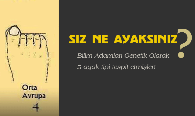 BİLİM ADAMLARI GENETİK OLARAK 5 AYAK TİPİ OLDUĞUNU TESPİT ETMİŞLER... PEKİ YA SİZ HANGİ AYAKSINIZ?