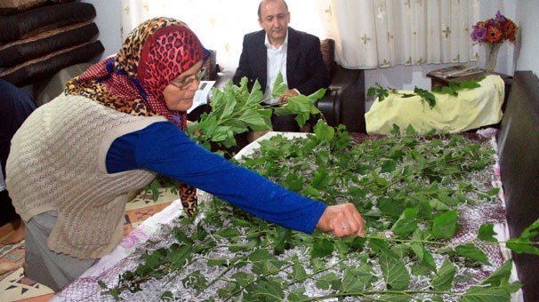 Duyan evine geliyor ! Salonda yetiştirdiği şey herkesi çok şaşırttı...