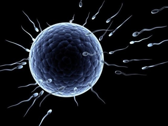 İNANILMAZ BULUŞ! SPERM BAKIN NEYE İYİ GELİYORMUŞ... ÇOK ŞAŞIRACAKSINIZ!