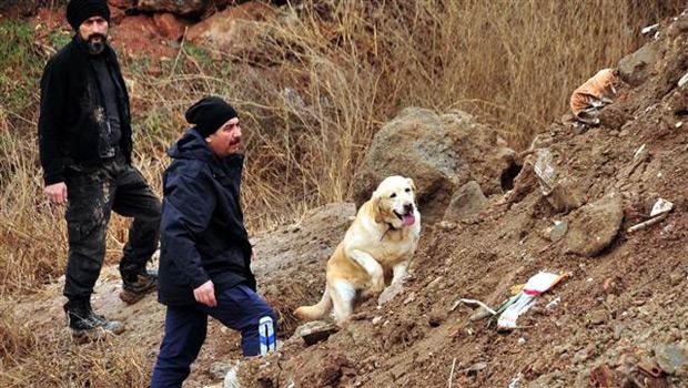 KAYIP ÇOCUKLARDAN HABER!