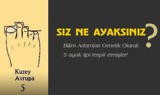 BİLİM ADAMLARI GENETİK OLARAK 5 AYAK TİPİ OLDUĞUNU TESPİT ETMİŞLER... PEKİ YA SİZ HANGİ AYAKSINIZ?