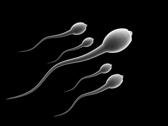 İNANILMAZ BULUŞ! SPERM BAKIN NEYE İYİ GELİYORMUŞ... ÇOK ŞAŞIRACAKSINIZ!