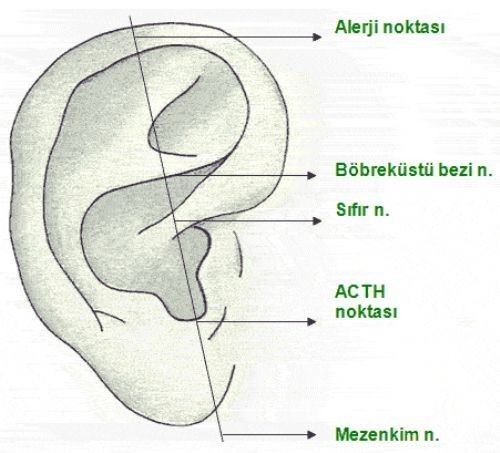 DİKKAT!! CENNETİN KAPISI KULAĞINIZDA GİZLİ!!