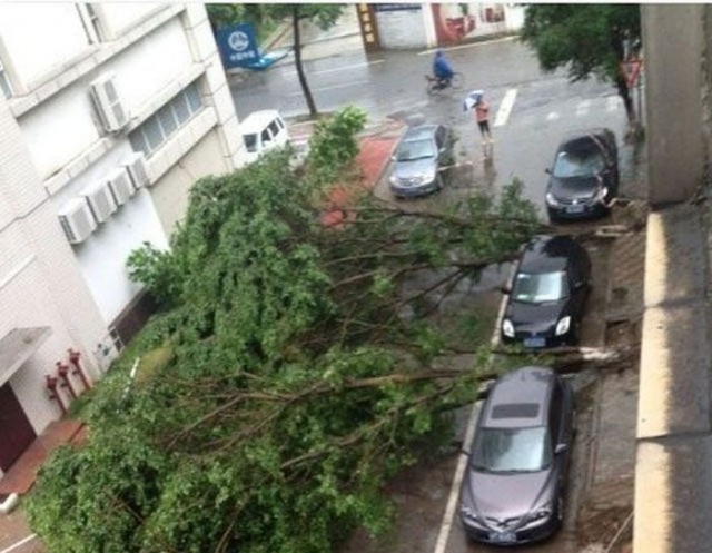 GÖRENLER GÖZLERİNE İNANAMADI! HERKES TELEFONLARA SARILDI!