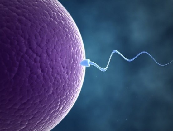 İNANILMAZ BULUŞ! SPERM BAKIN NEYE İYİ GELİYORMUŞ... ÇOK ŞAŞIRACAKSINIZ!