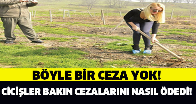 CİCİŞLERDEN İLGİNÇ CEZA ÖDEME TEKNİĞİ!