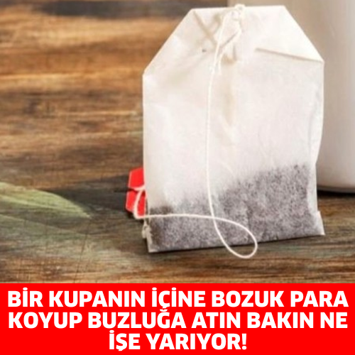 BİR KUPANIN İÇİNE BOZUK PARA KOYUP BUZLUĞA ATIN, BAKIN NE İŞE YARIYOR!