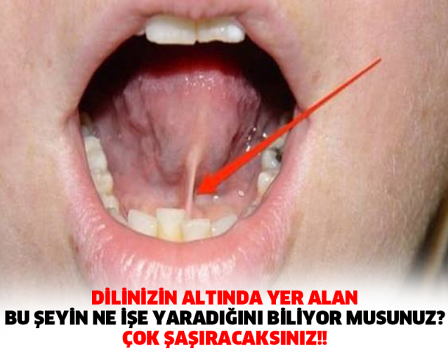 DİLİNİZİN ALTINDA YER ALAN BU ŞEYİN NE İŞE YARADIĞINI BİLİYOR MUSUNUZ? ÇOK ŞAŞIRACAKSINIZ!!