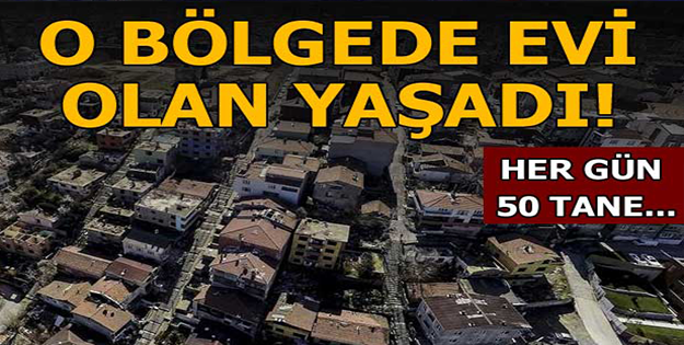 O BÖLGEDE EVİ OLAN YAŞADI! HER GÜN 50 TANE...