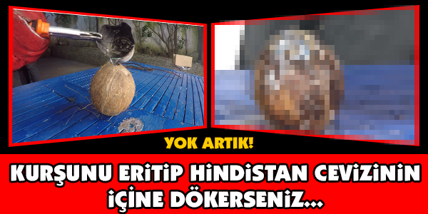 KURŞUNU ERİTİP HİNDİSTAN CEVİZİNİN İÇİNE DÖKERSENİZ... ÇOK ŞAŞIRACAKSINIZ!