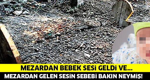 MEZARDAN GELEN SESİN SEBEBİ BAKIN NEYMİŞ...