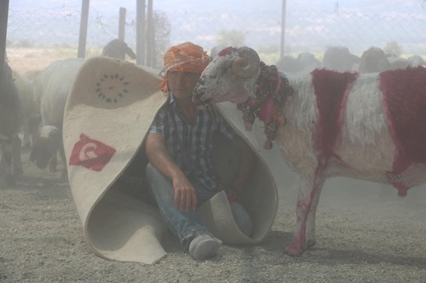 "Mor koyunlar" teröre tepki için suya atlatılacak