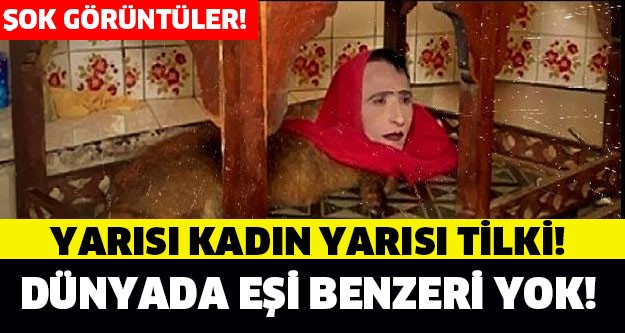 Yarısı kadın yarısı tilki !!