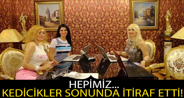 KEDİCİKLER SONUNDA İTİRAF ETTİ