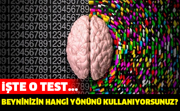 BEYNİNİZİN HANGİ YÖNÜNÜ KULLANIYORSUNUZ? TEST EDİN...