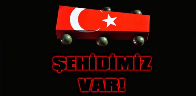 SON DAKİKA! 161 ŞEHİDİMİZ 1440 YARALIMIZ VAR!