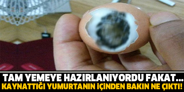 KAYNATTIĞI YUMURTANIN İÇİNDEN BAKIN NE ÇIKTI ?