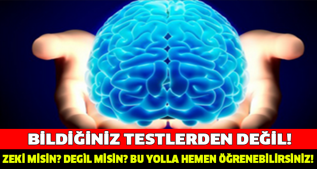 BİLDİĞİNİZ TESTLERDEN DEĞİL! BU YOLLA ZEKİ OLUP OLMADIĞINIZI HEMEN ÖĞRENEBİLİRSİNİZ!