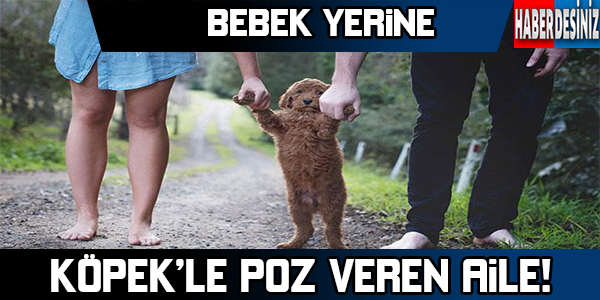 Bebek yerine köpekle poz veren aile !