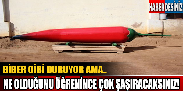 Biber Gibi Duruyor Ama.. Ne Olduğunu Öğrenince Çok Şaşıracaksınız!