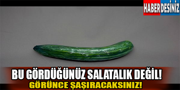 Bu gördüğünüz salatalık değil!