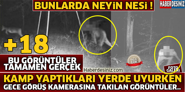 Bu Görüntülerde Neyin Nesi !! Kamp Yaptıkları Yerde Gece Görüş Kamerasına Takılan Görüntüler...