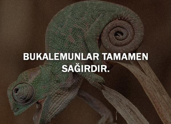 BAŞ PARMAĞINIZ İLE SERÇE PARMAĞINIZI BİRLEŞTİRİNCE...