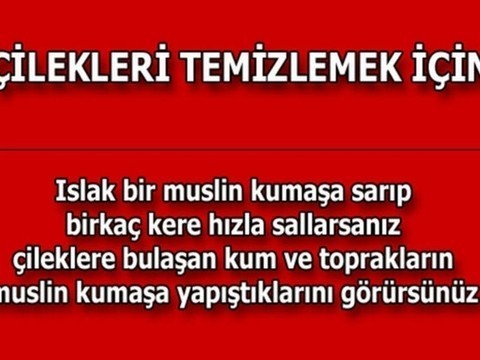 Bunları öğrenince hayatınız değişecek!