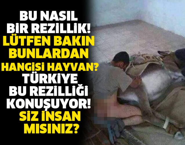 BU NASIL BİR REZİLLİK! LÜTFEN BAKIN BUNLARDAN HANGİSİ HAYVAN? TÜRKİYE BU REZİLLİĞİ KONUŞUYOR! SİZ İNSAN MISINIZ?