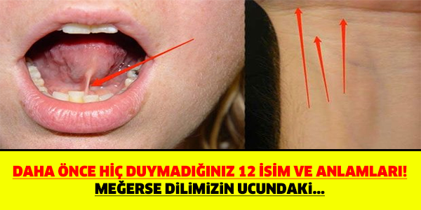 DAHA ÖNCE HİÇ DUYMADIĞINIZ 12 İSİM VE ANLAMLARI!