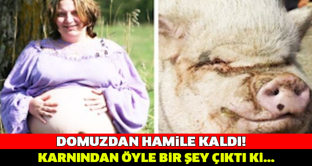 GÖZLERİNİZE İNANAMAYACAKSINIZ! Domuzdan Hamile Kaldı! Karnından Öyle Bir Şey Çıktı Ki...