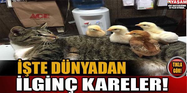 Dünyadan ilginç kareler!