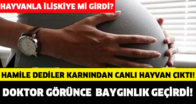 ŞOK! Hamile Dediler Karnından Canlı Hayvan Çıktı!