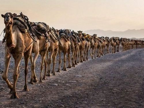 Dünya bu fotoğrafları konuşuyor ! ‘Ne var ki’ Diyorsanız bir sonraki kareye bakın..